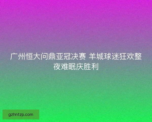 广州恒大问鼎亚冠决赛 羊城球迷狂欢整夜难眠庆胜利